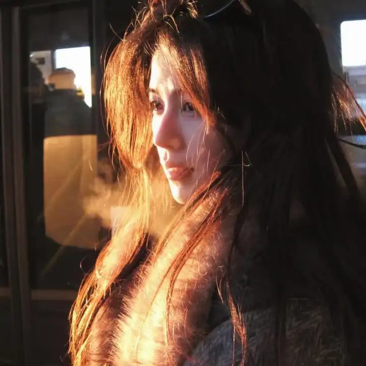 瞒天凶嫌 在线观看