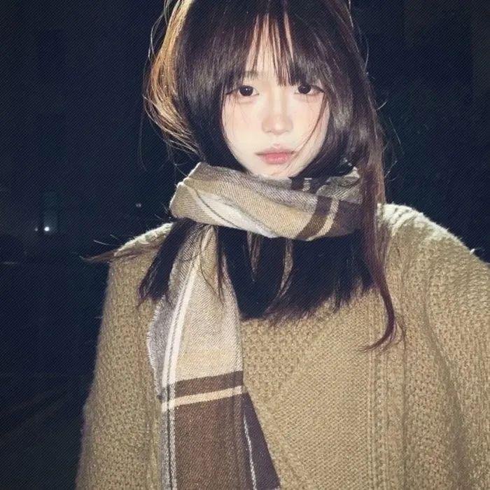 吉屋藏娇